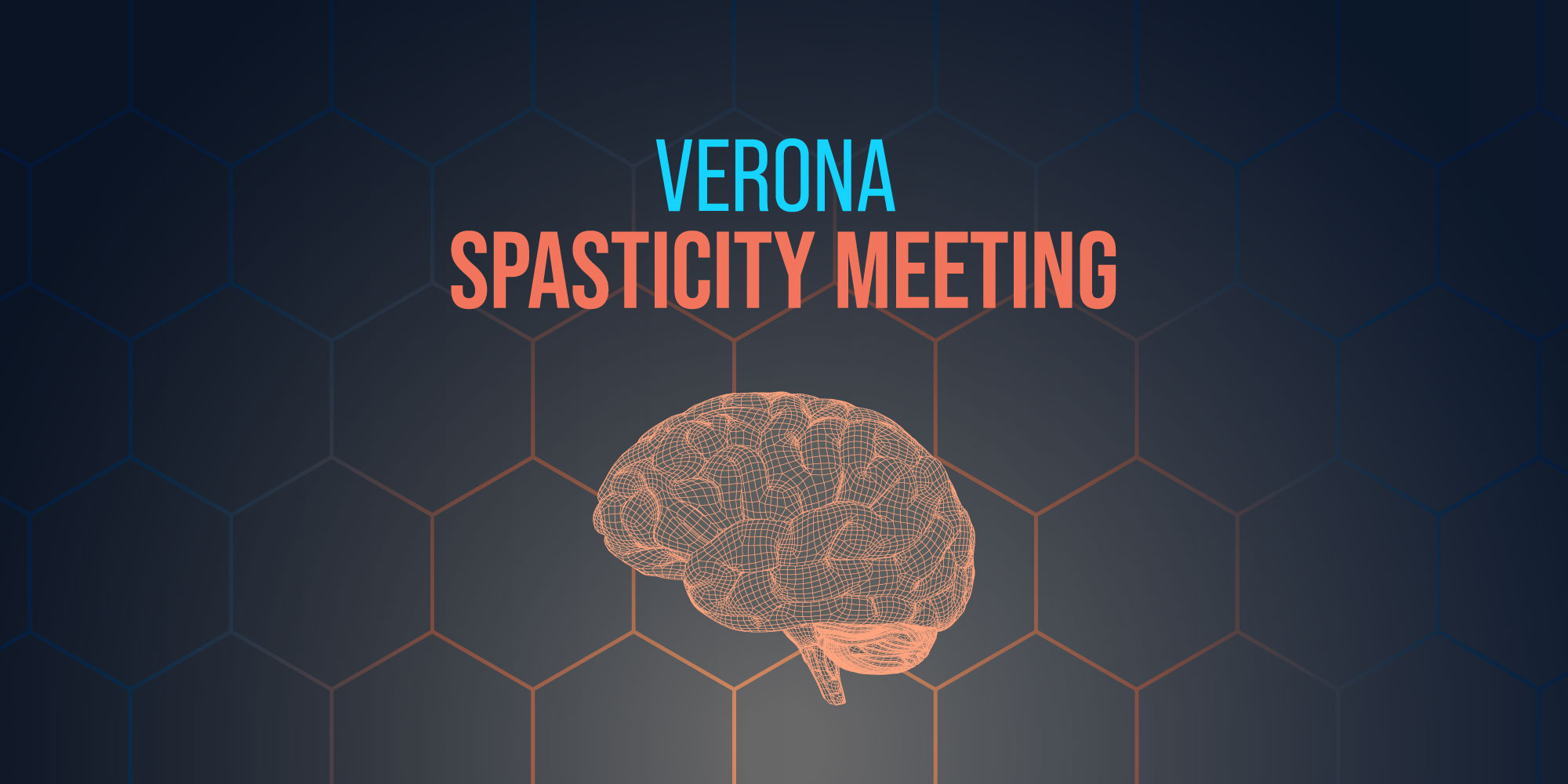 VERONA SPASTICITY MEETING