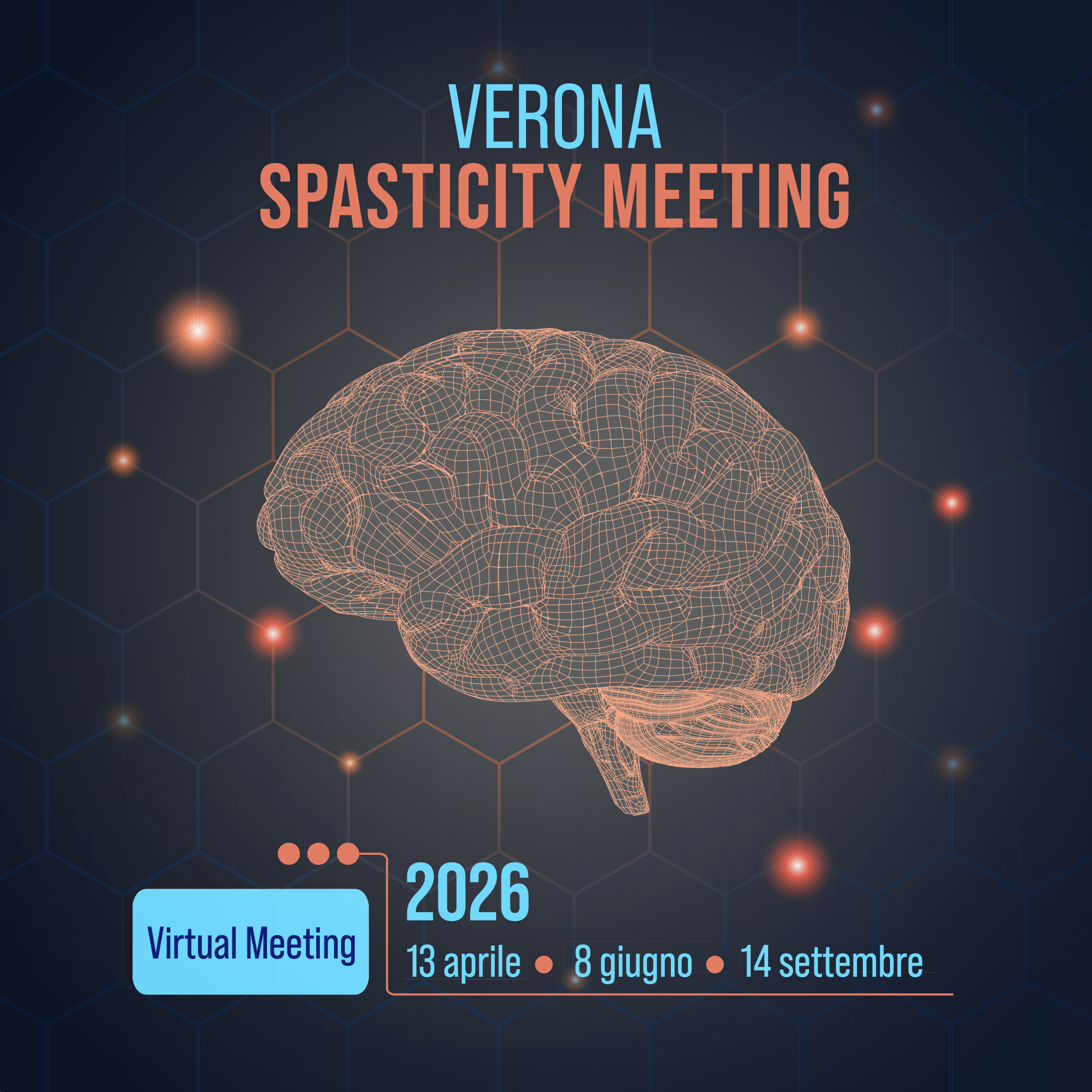 VERONA SPASTICITY MEETING 2026